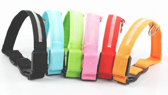 FurryTailscollection™  Glowing collar nylon collar dog leash