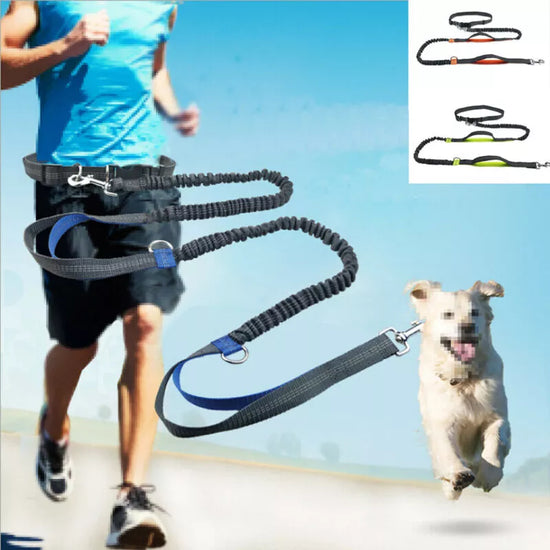 FurryTailscollection™ Hands-Free & Reflective Dog Leash