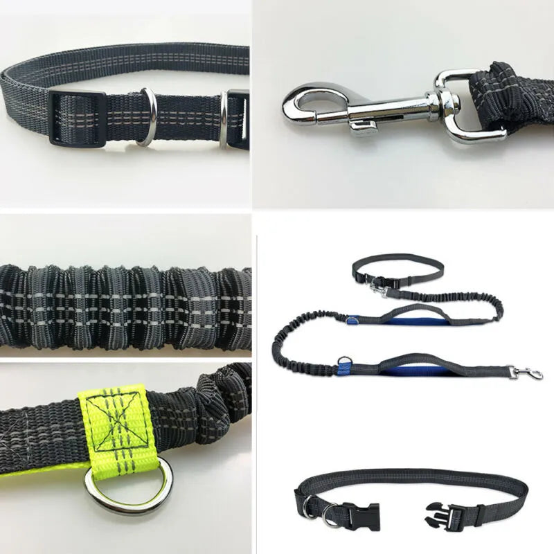 FurryTailsCollection™️ Hands-Free & Reflective Dog Leash