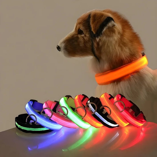 FurryTailscollection™ Rechargeable LED Dog Collar – Glow-in-the-Dark Safety Collar for Night Walks | Multiple Colors & Sizes
